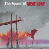 Meat Loaf - i'd do anything for love